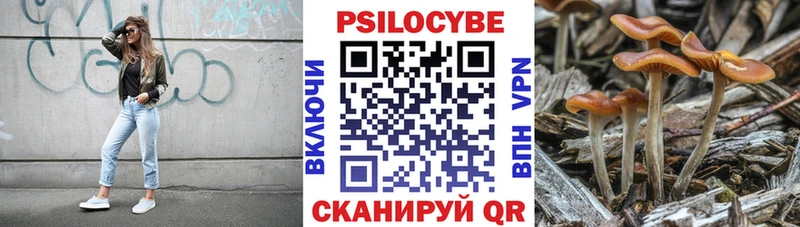 это наркотические препараты Петров Вал Псилоцибиновые грибы мухоморы